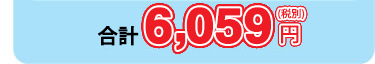 合計6,860円(アシストパック500に加入されない場合6,360円)
