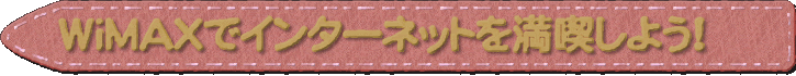 この冬はWiMAXでお出かけインターネット
